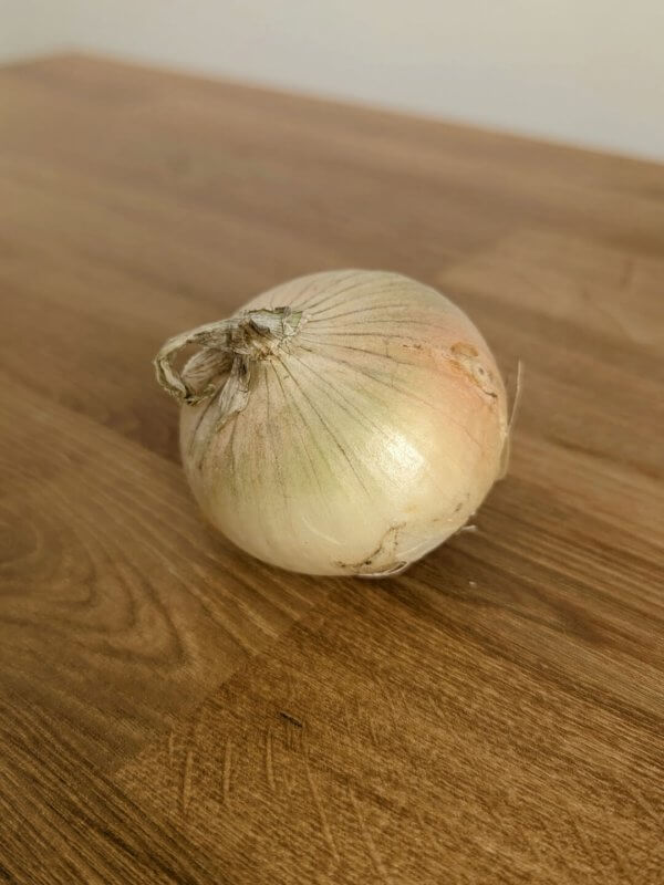 Цибуля